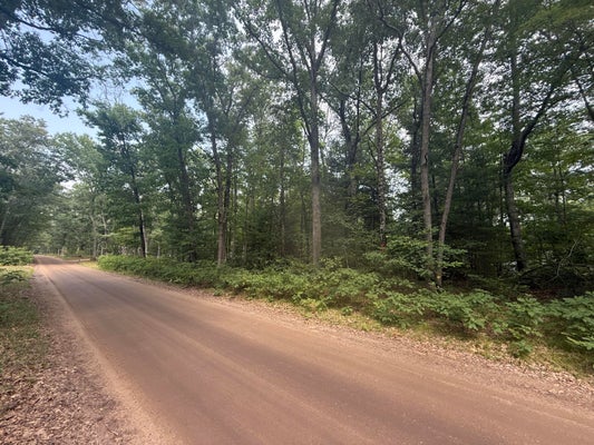 12TH AVENUE, BITELY, MI 49309 - Image d0eef36a4e5f2b065d3547d1e081f272/4163788114