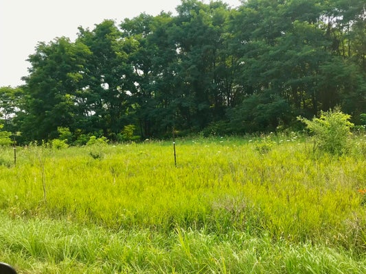 BUCKHORN RD, THREE RIVERS, MI 49093 - Image d1a89dddf1cc918097b7e7b7d5810285/3218449469