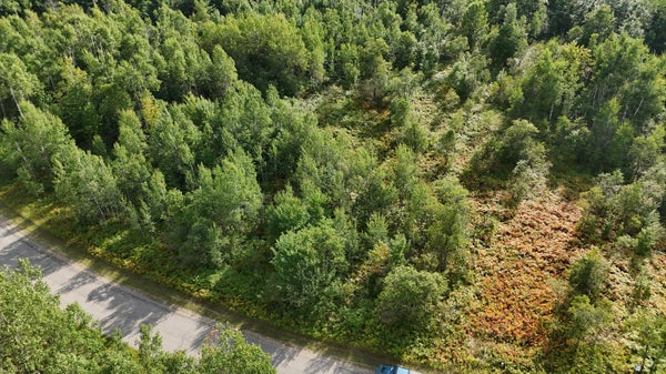 MONTROSE DR, MANCELONA, MI 49659 - Image d1ec0fb41fd57bc327cfc9904dbe4961/3058980159