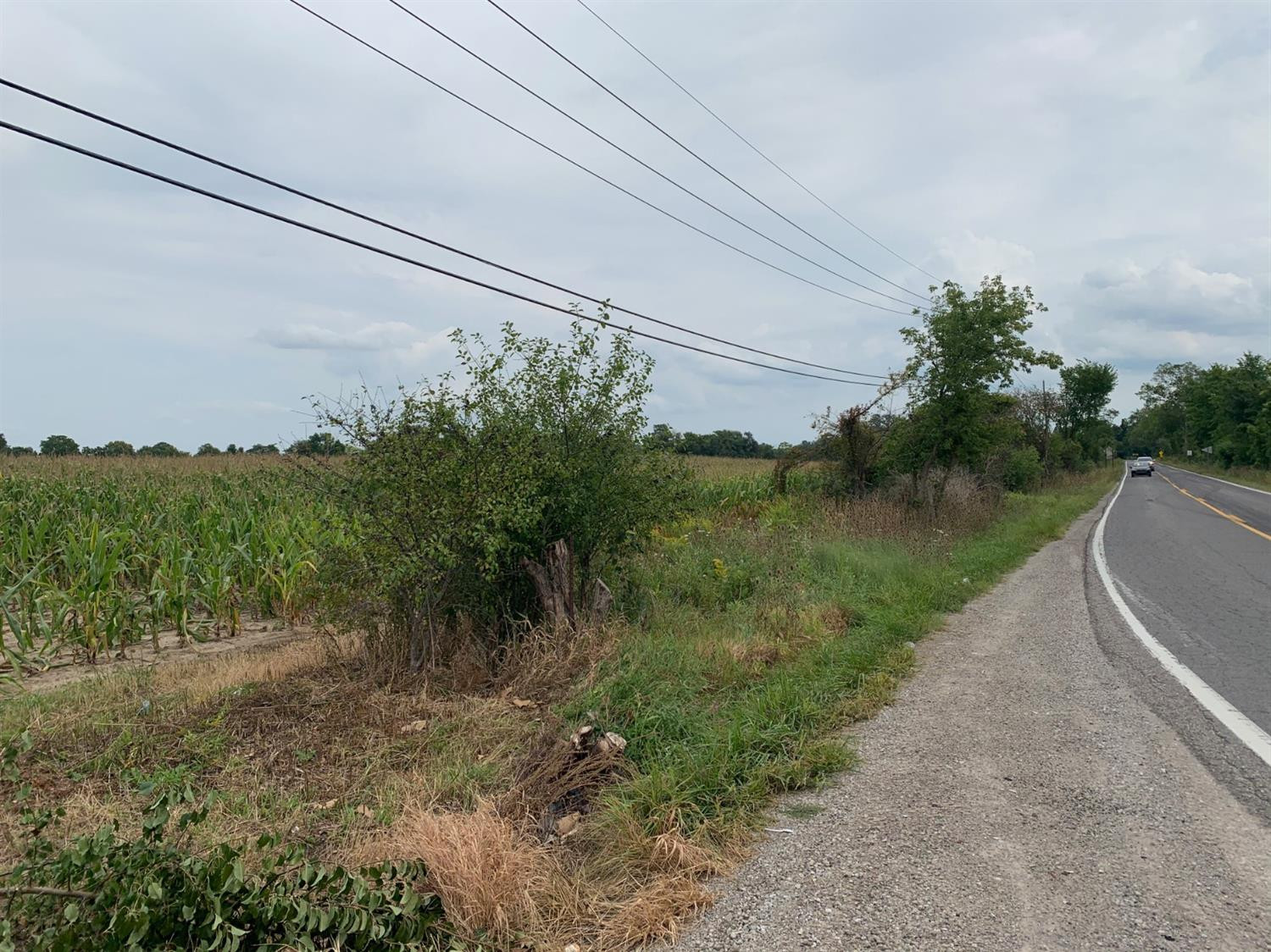 8501 Martz Road