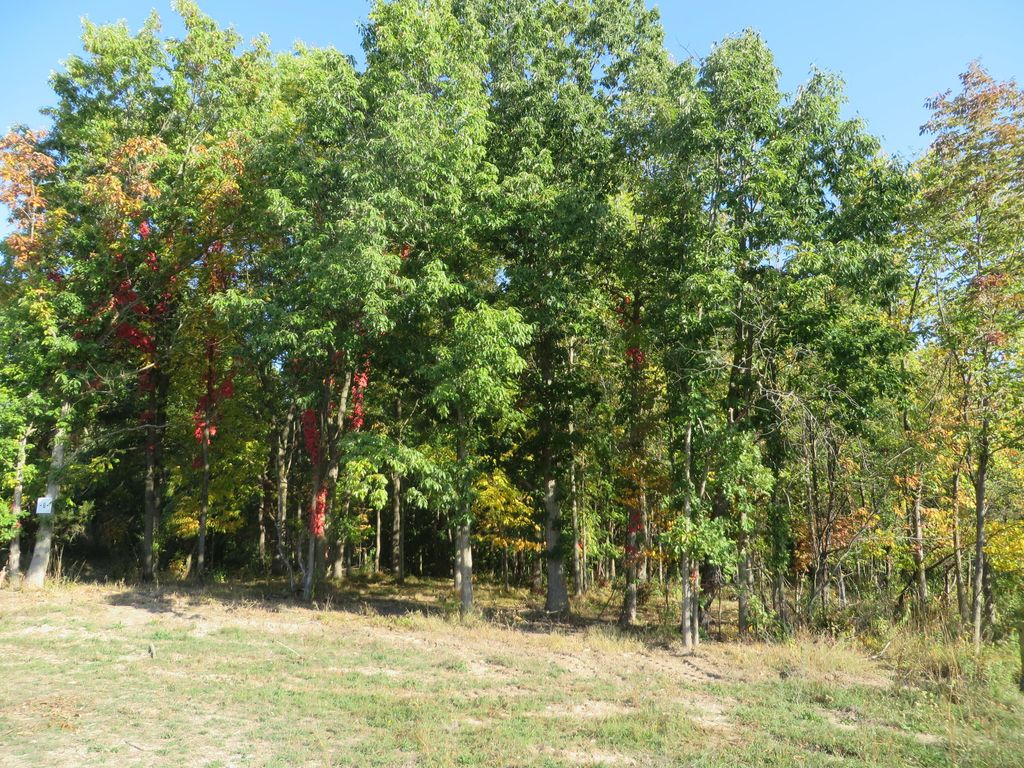 Photo of 3473 Breezewood Court SE, Kentwood, MI 49512 (MLS # 25009824)