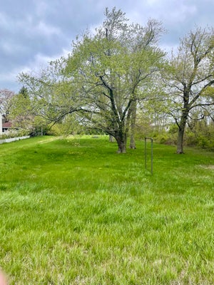 1440 N M 63, BENTON HARBOR, MI 49022 - Image d3398bf2ecc859292bbc6aa3f9734a40/1177879796