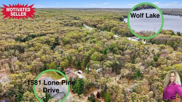 1581 W LONE PINE DR, BALDWIN, MI 49304 - Image d3b4da8e6e408c73e4e2c07c1a6917fb/1991878595