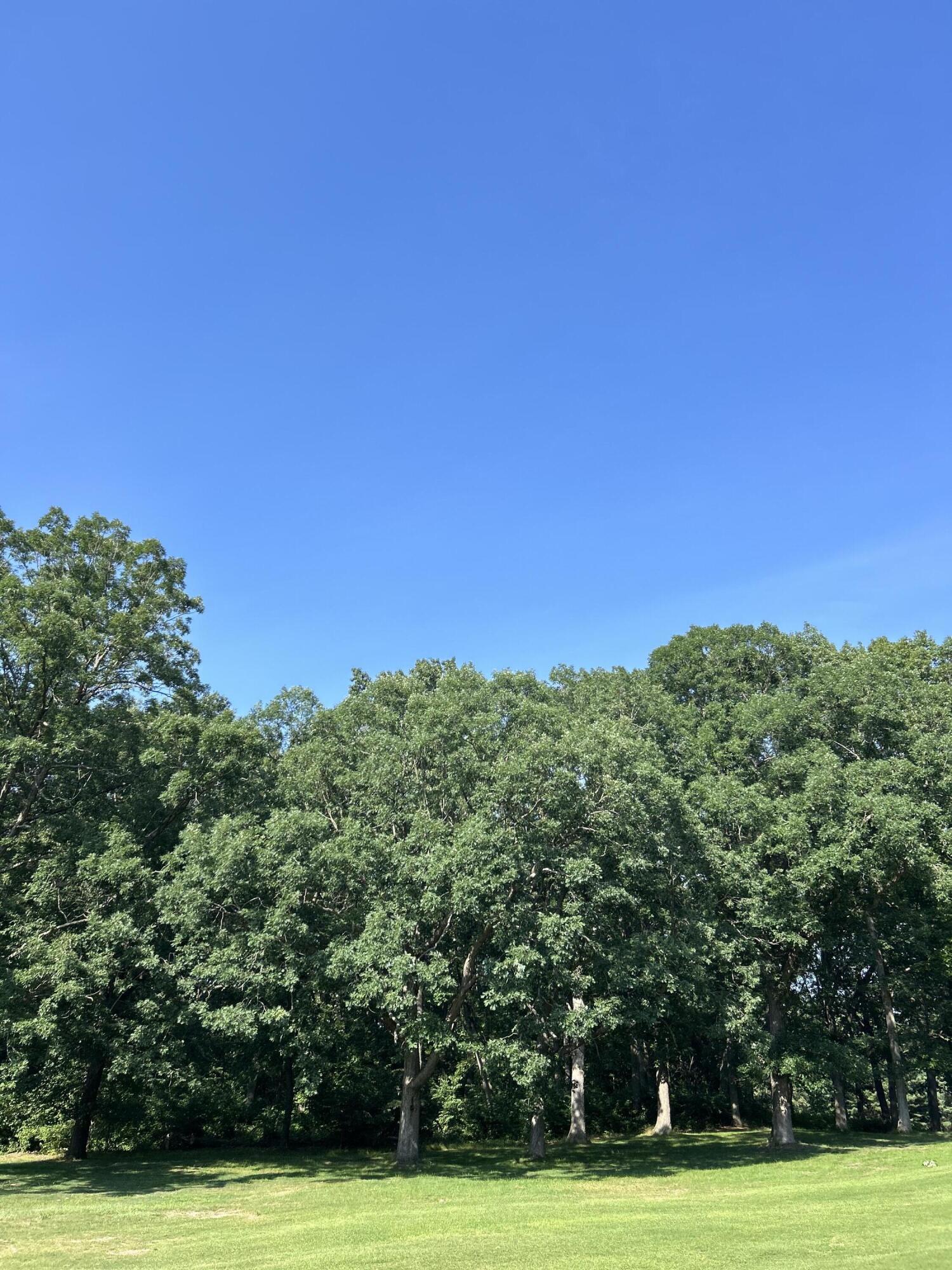 Grand Beach, Michigan 49117, United States, ,Land,Active,165244