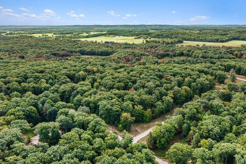 Photo of Lot 17 Pine Street, Mears, MI 49436 (MLS # 25046915)