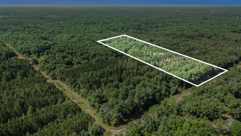 Lot F Hayes Road Mecosta MI 49332