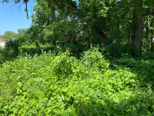 69025 ISLAND DR, EDWARDSBURG, MI 49112 - Image d47f1c30cffb3d749737cb5e7f2ca0a9/4056985209