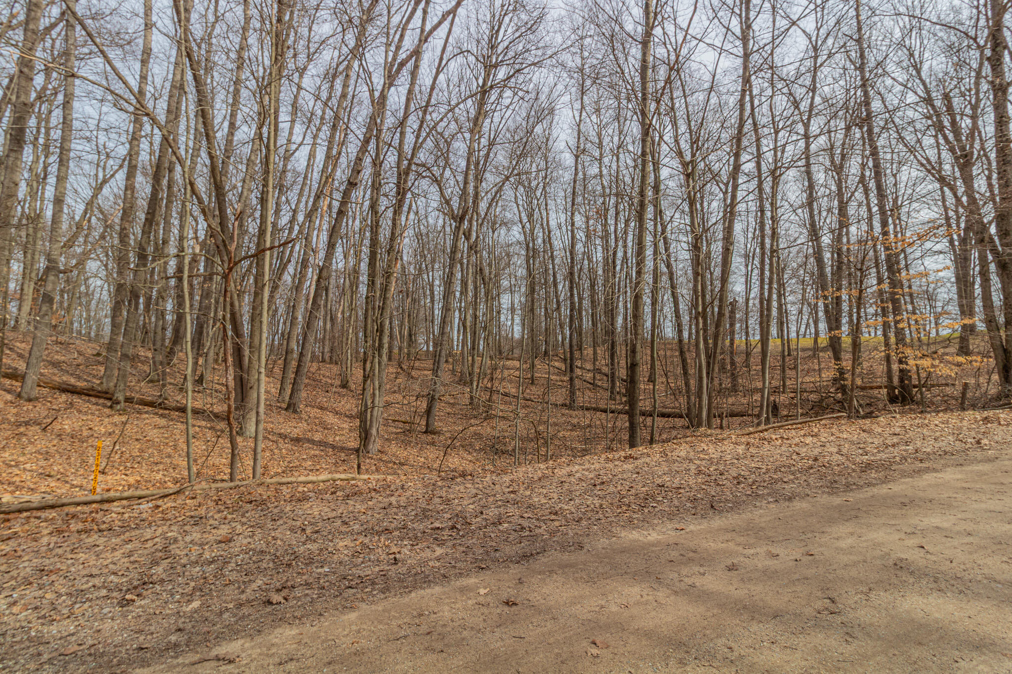 9656 S Calgary Drive