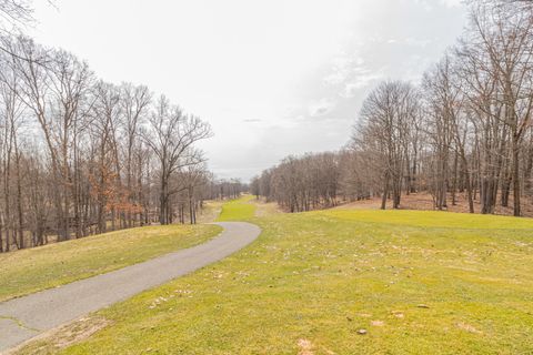 9656 S Calgary Drive Canadian Lakes MI 49346