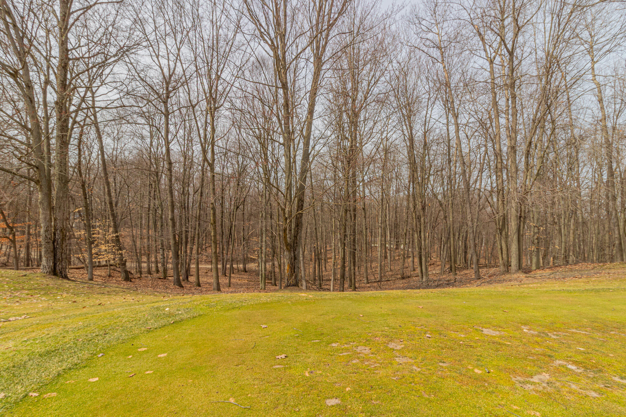 9656 S Calgary Drive