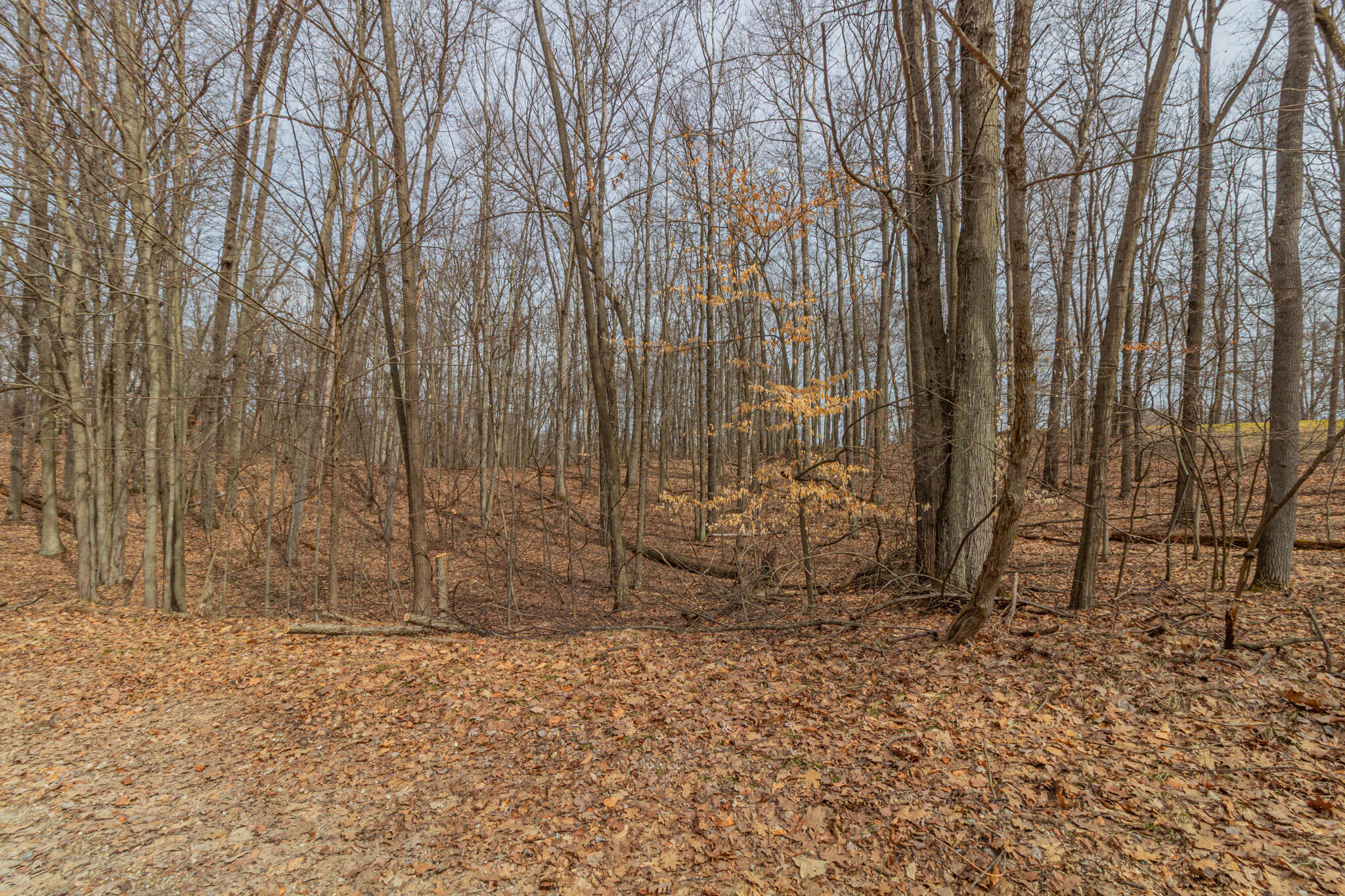 9656 S Calgary Drive