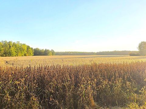 Photo of Wildt Highway, Bellevue, MI 49021 (MLS # 25051556)