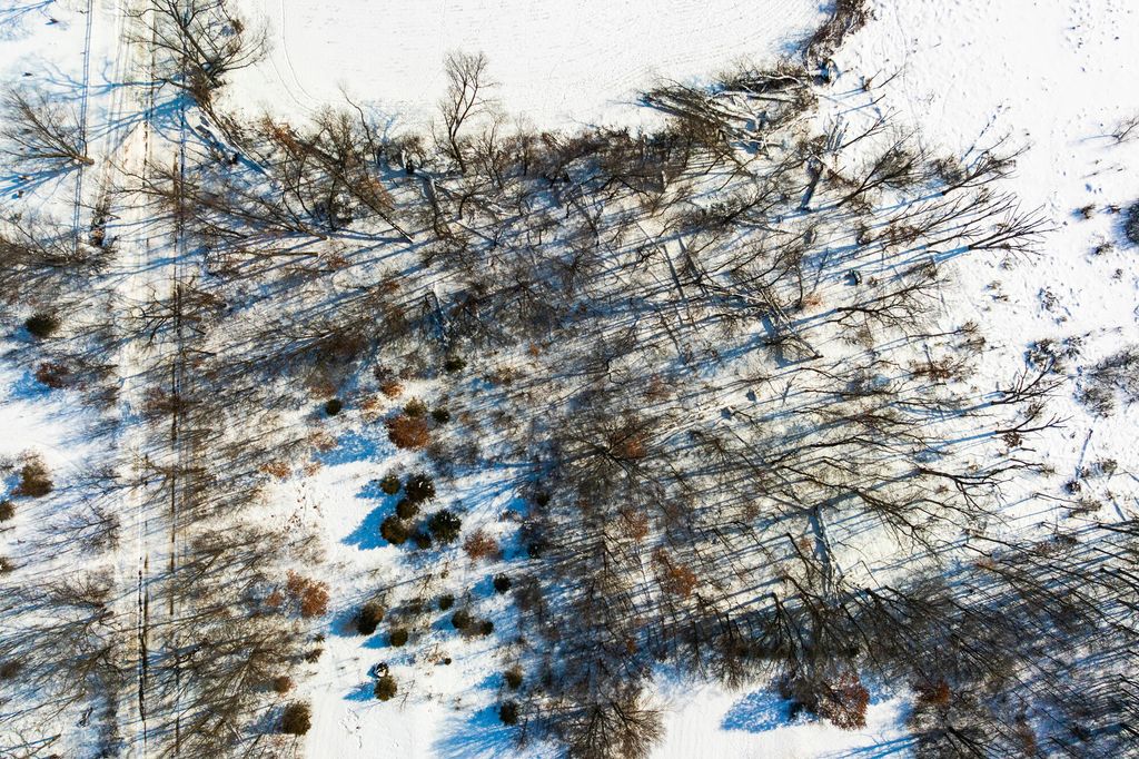 Photo of VL Cemetery Street, Cassopolis, MI 49031 (MLS # 26005167)