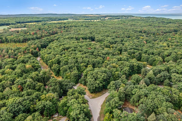 LOT 16 PINE STREET, MEARS, MI 49436 - Image d6d1cac9cd9ab2e6cf50eb39462da63b/2951948328