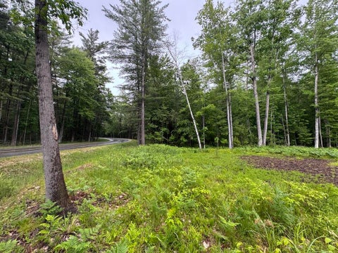 Photo for Pinecrest Drive