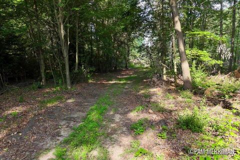 Photo of Parcel D Youngman Road, Trufant, MI 49347 (MLS # 26013244)