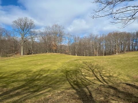 9689 Saint Ives Drive Stanwood MI 49346