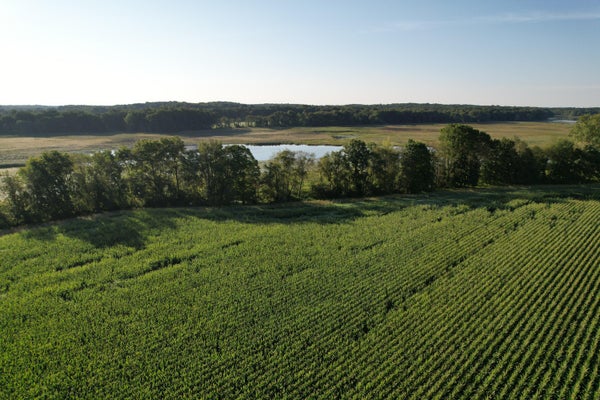 HUBBARD RD, HANOVER, MI 49241 - Image d87db1f83ccc957fe01fd637f2a3b2ae/3246585112