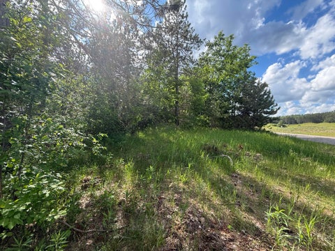 Photo for V/L Bear Paw Trail