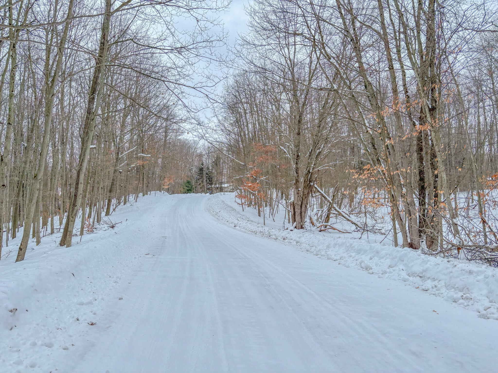 12329 Wagon Wheel Trail