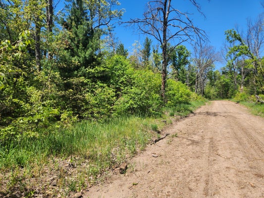 S DELAWARE AVE, BALDWIN, MI 49304 - Image da932c46d512d5df4aedb069e946e9bb/992277545