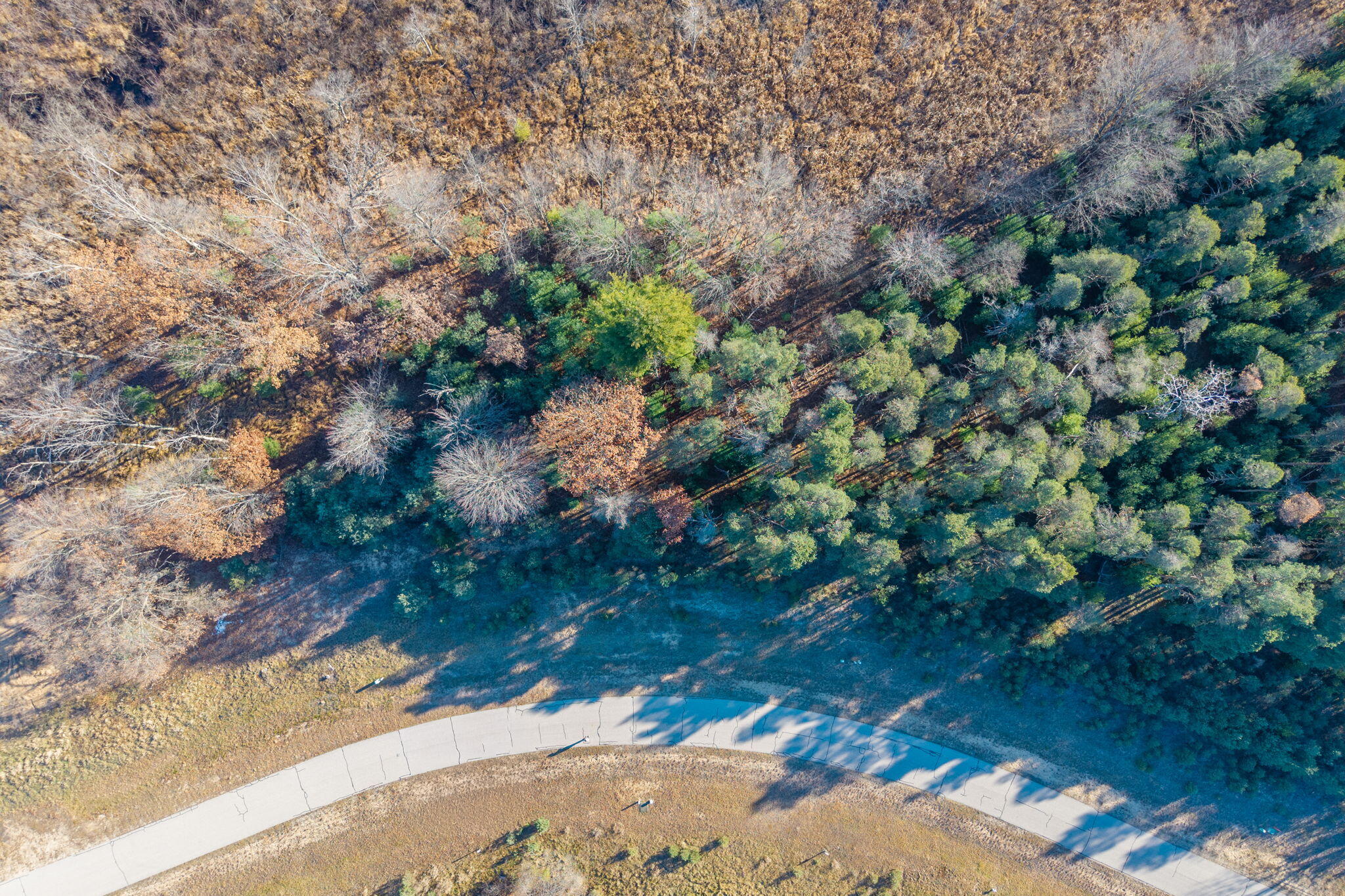 11250 Killarney Drive