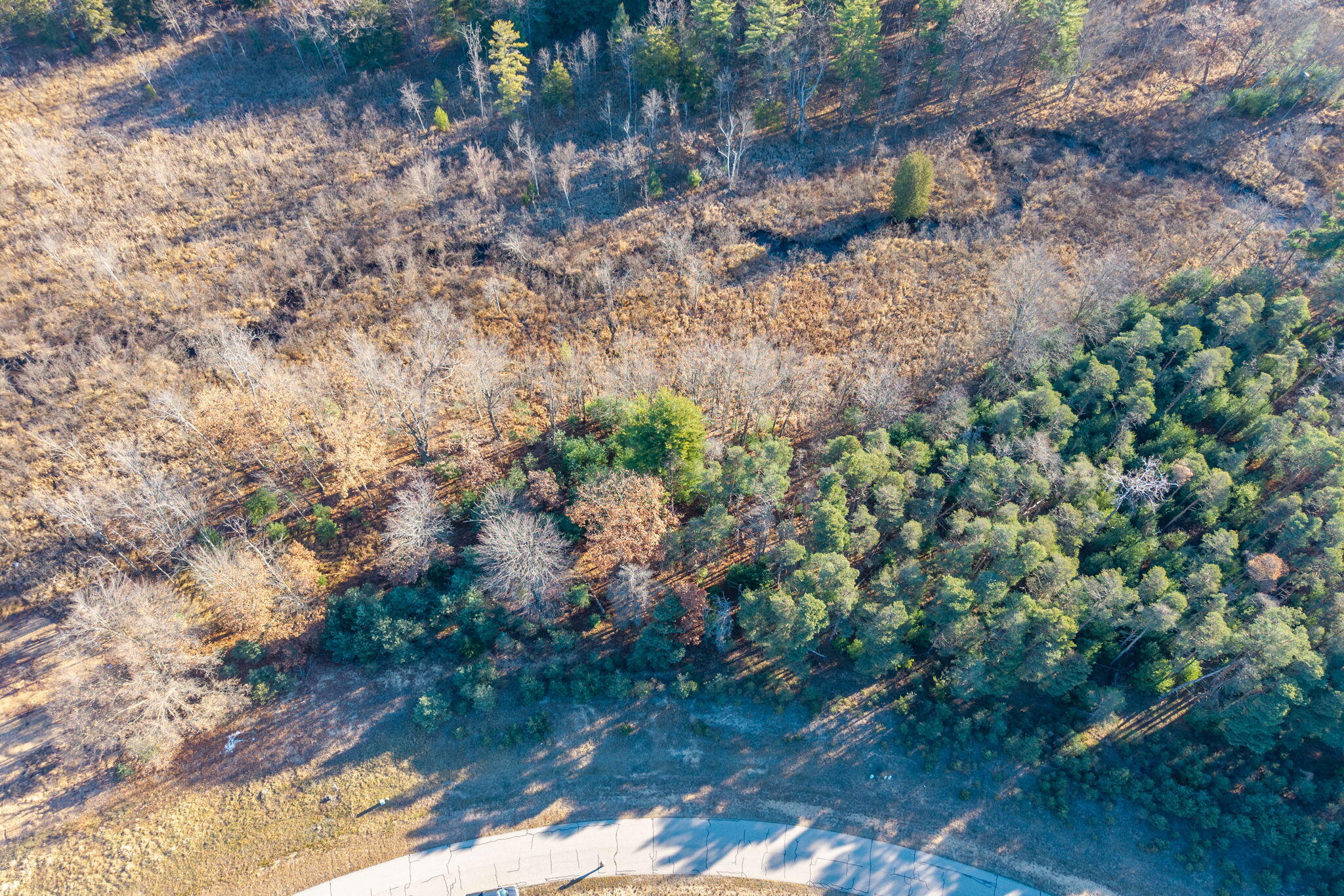 11250 Killarney Drive