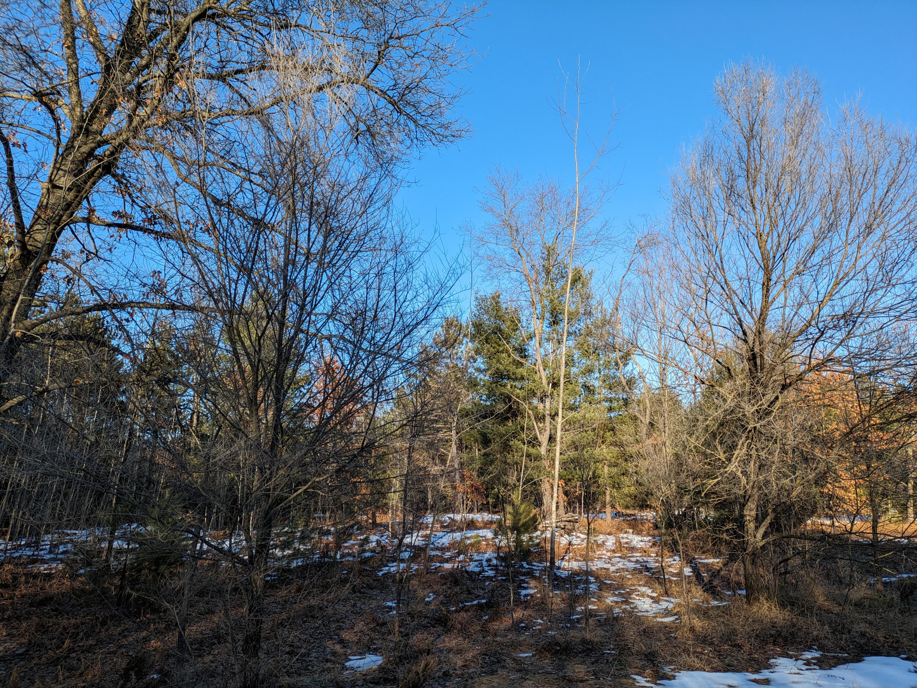 PXL_20240203_210505267