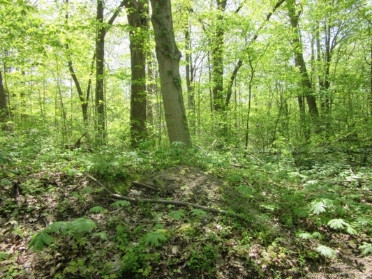 5988 JEFFERSON ST, COLOMA, MI 49038 - Image db176de02500a200b86f977eb294282f/1443715322