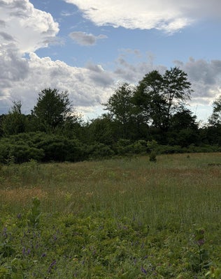 390 S ARENT RD, WATERVLIET, MI 49098 - Image db1dd86e49a95fb50d7ba3bfcbf5c6c2/979592056