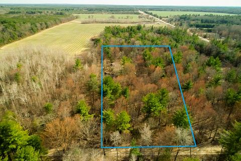 Photo of 4866 E 8th Street, White Cloud, MI 49349 (MLS # 26016315)