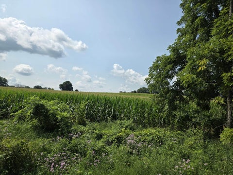 Photo for 13 Mile Rd (parcel 3)