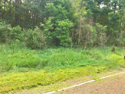 BUCKHORN RD, THREE RIVERS, MI 49093 - Image db8bf5519ddd97083dd700d0843b4510/732474877