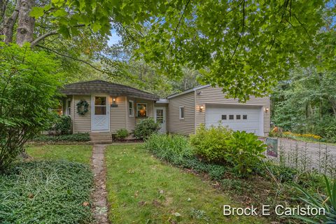 Photo of 5422 Newago Trail, New Era, MI 49446 (MLS # 25046028)