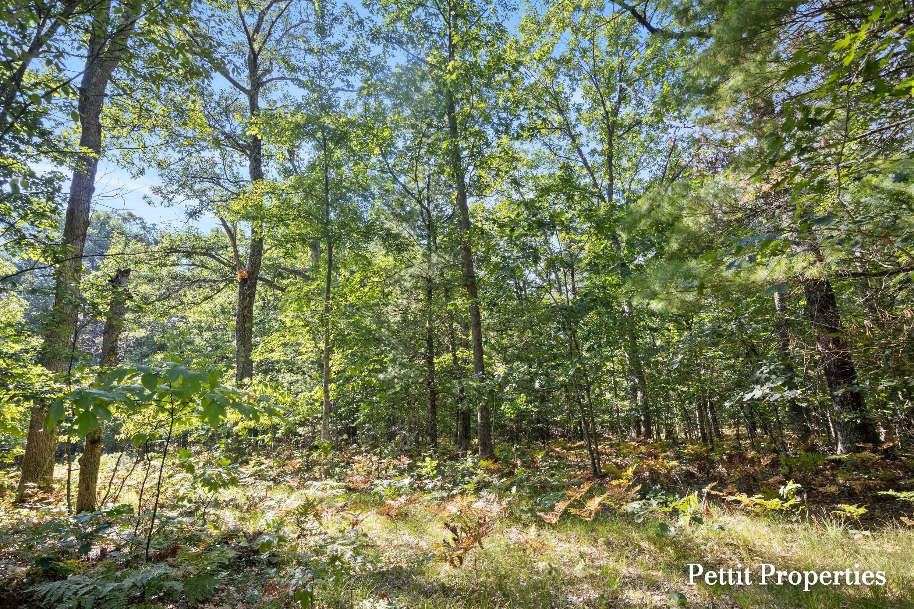Properties Available 4 - 4 v/l S 142nd Avenue