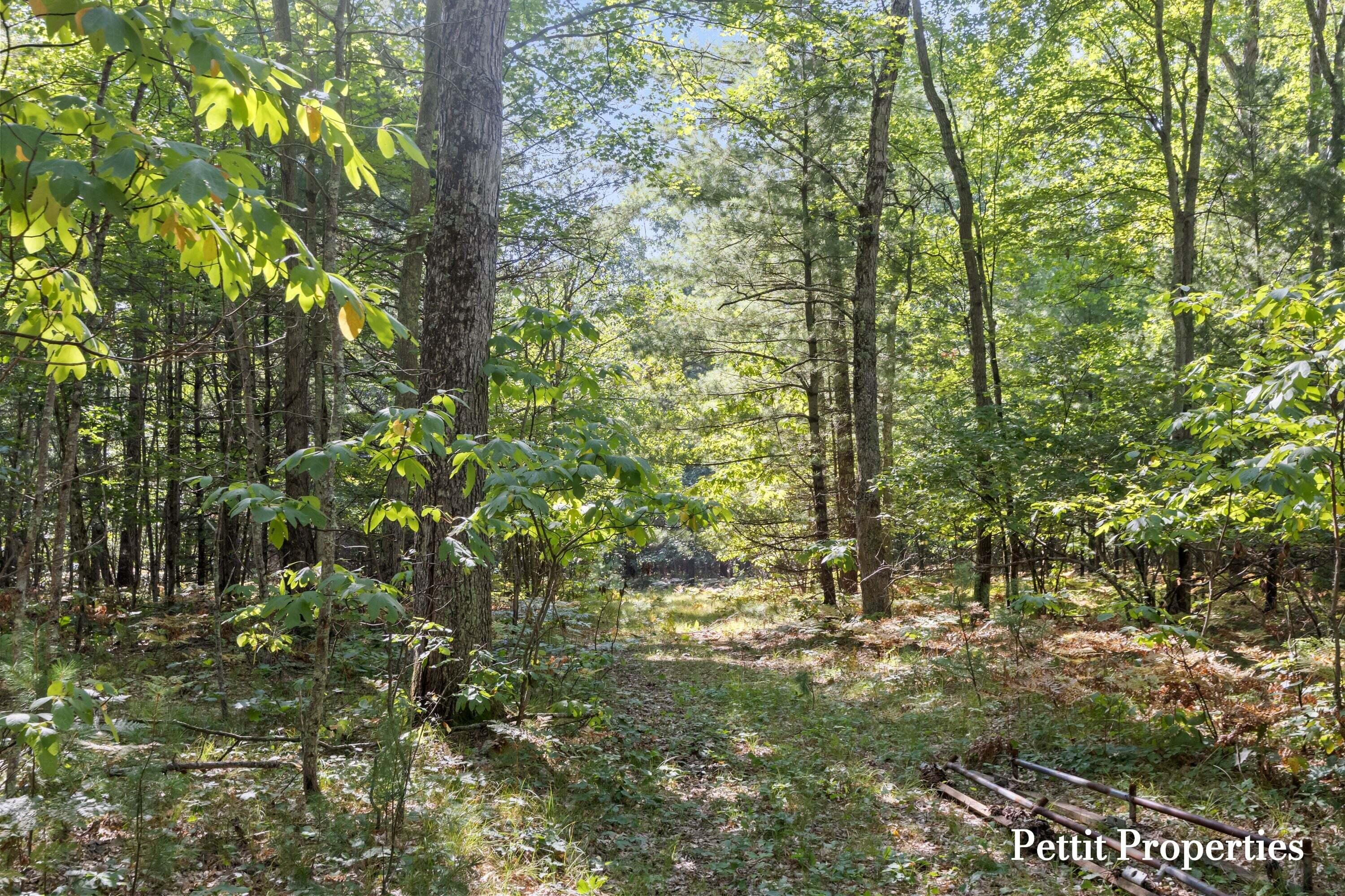 Properties Available 3 - 3 v/l S 142nd Avenue