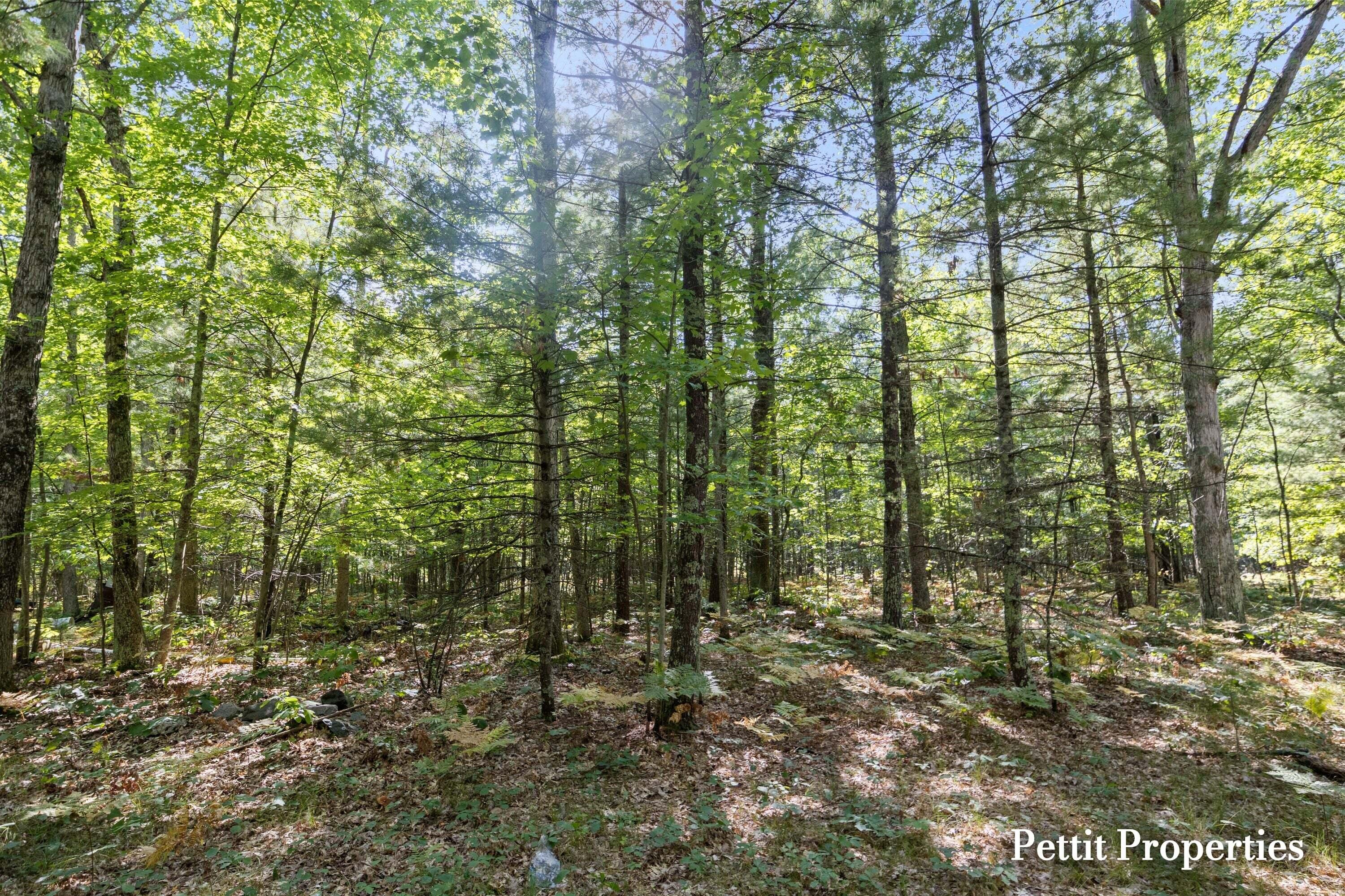 Properties Available 2 - 2 v/l S 142nd Avenue