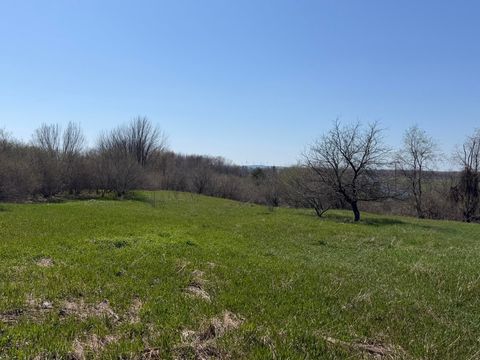 Photo of 4422 S Ordway Road, Custer, MI 49405 (MLS # 26017055)