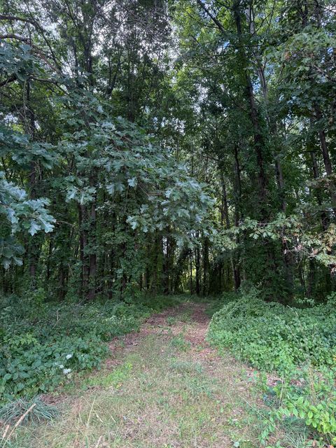 Photo of C Drive N, Albion, MI 49224 (MLS # 25043506)