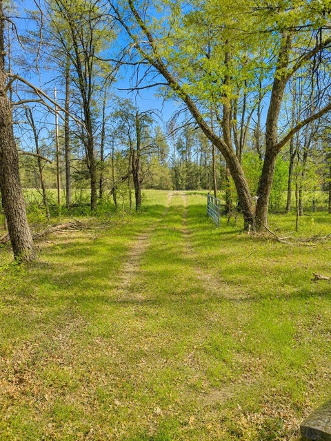 Photo for V/L Temple Drive