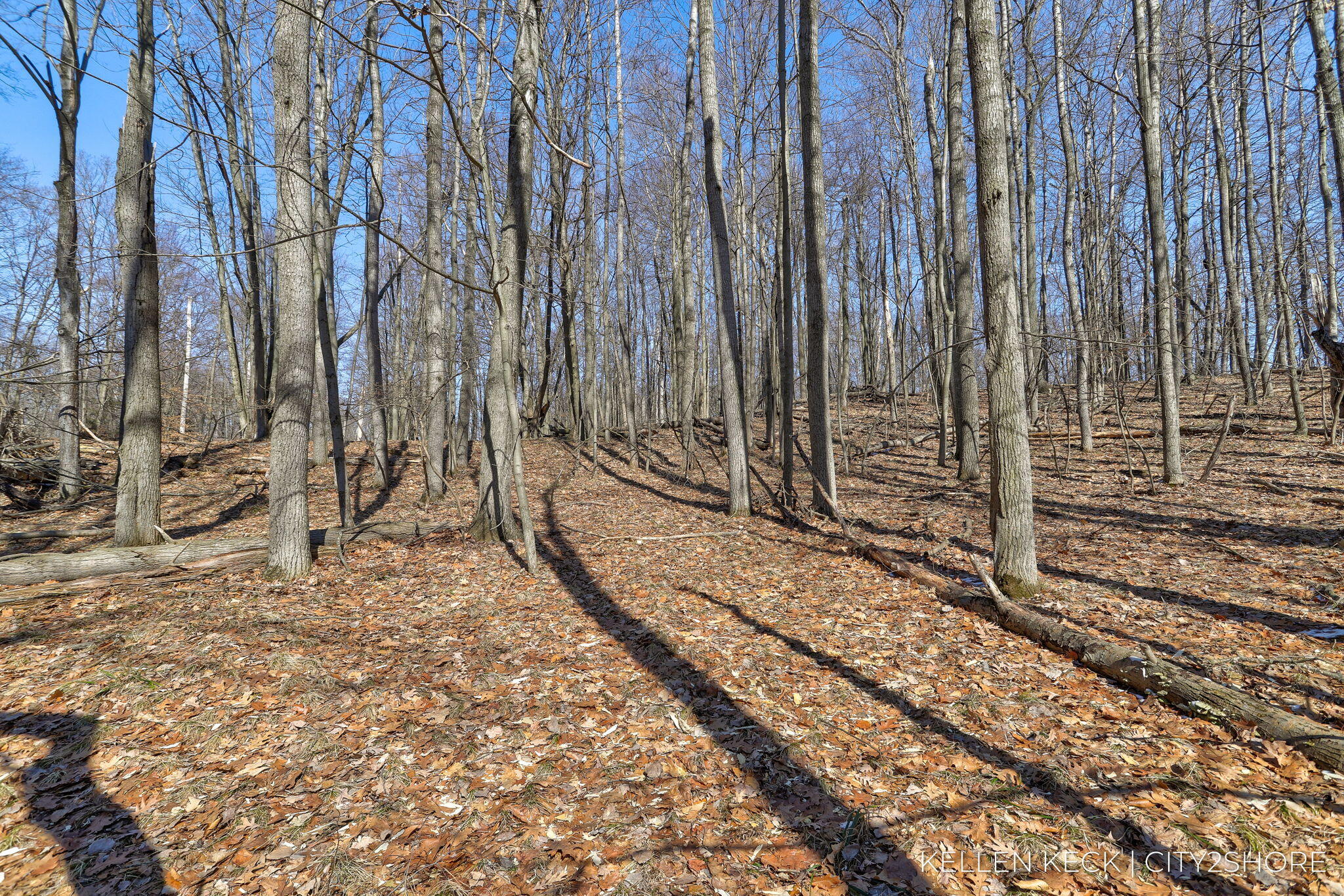 11260 Apache Wells Court