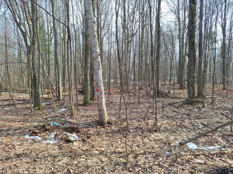 Photo of V/L Birch Street #LOT 10, 11, 12 BL 13, Ludington, MI 49431 (MLS # 26013680)