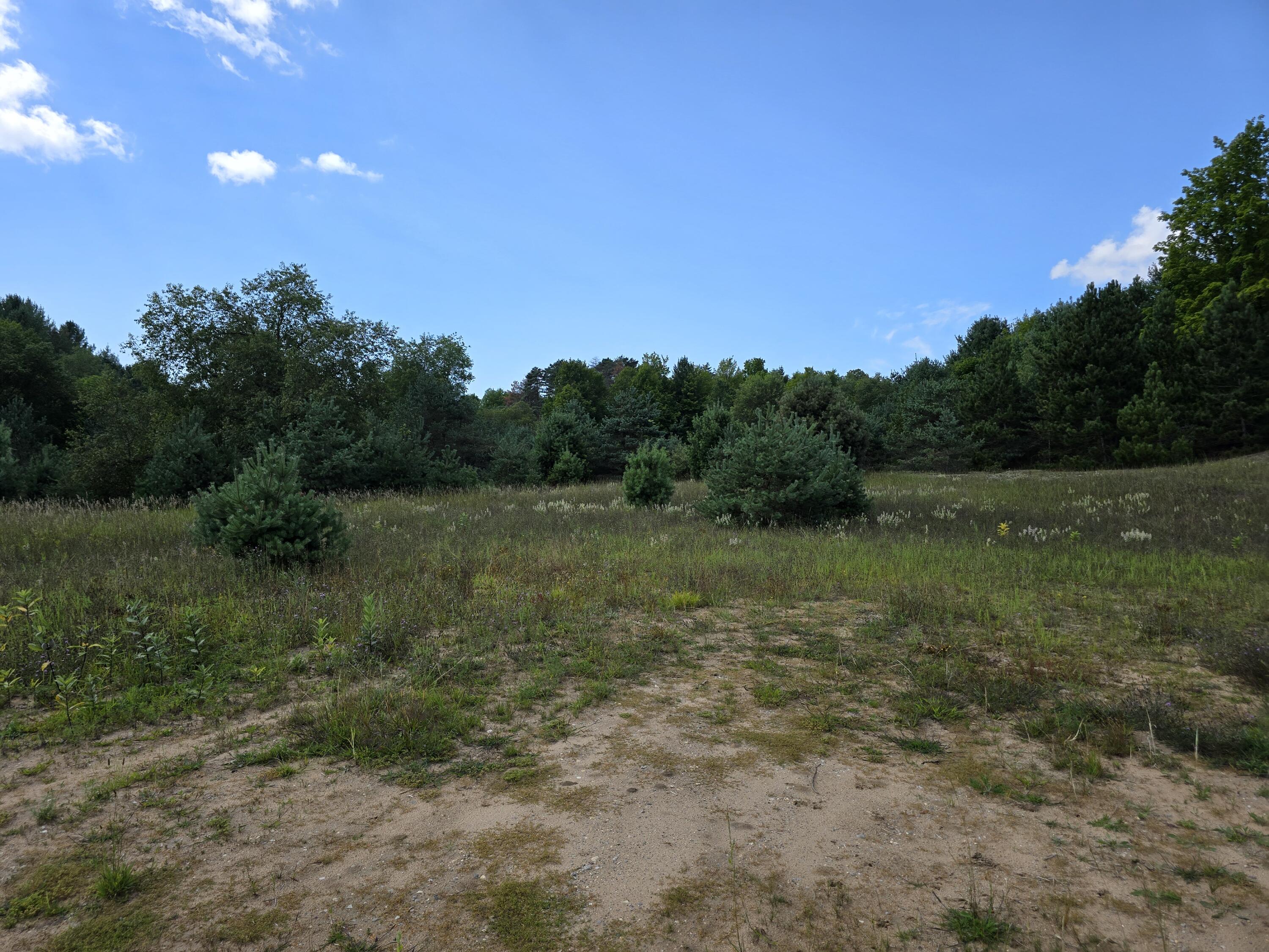 Photo 1 of 6 — 11 Mile Road Unit Parcel B, Bear Lake, MI 49614
