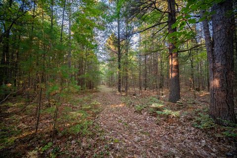Photo of 20 Acres N of 3657 Wildwood, Manistee, MI 49660 (MLS # 25013198)