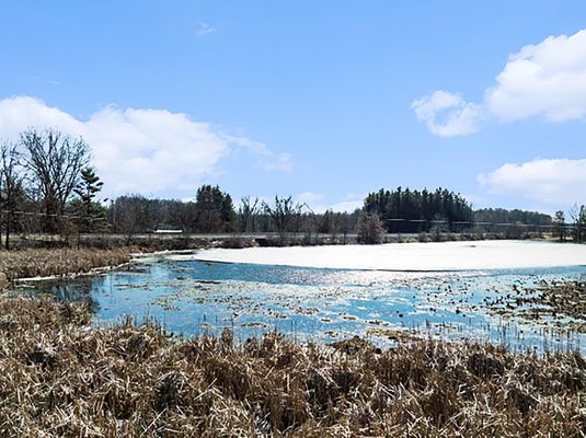 WINTER ST, ALBION, MI 49224 - Image de4d4573b801ed0bdfe8226b0dcd0826/1133874885