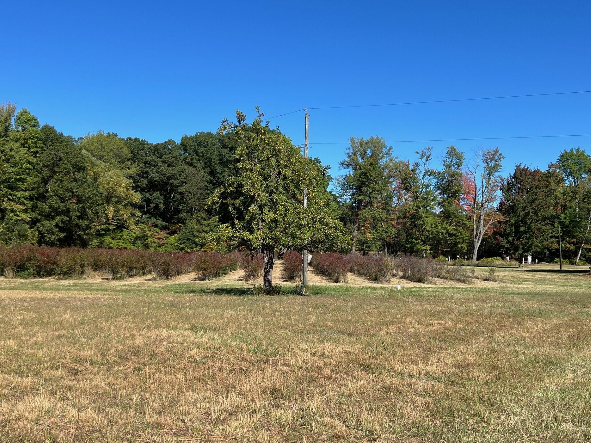 New Buffalo, Michigan 49117, United States, 4 Bedrooms Bedrooms, ,2 BathroomsBathrooms,Residential,Active,225476