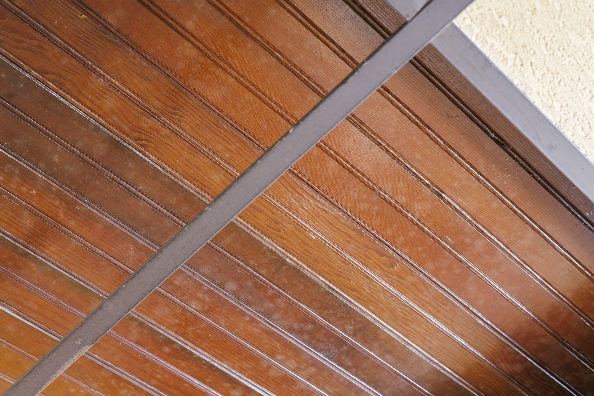 New Buffalo, Michigan 49117, United States, 4 Bedrooms Bedrooms, ,2 BathroomsBathrooms,Residential,Active,225476