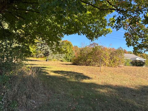 Photo of S 88th Avenue, New Era, MI 49446 (MLS # 25051862)