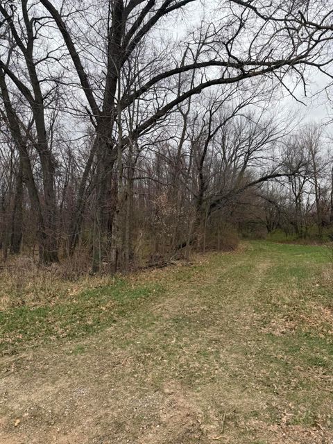 Photo of VL Jacobs Road, Centreville, MI 49032 (MLS # 26014983)