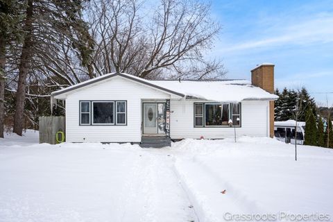 Photo of 4518 Elm Street, New Era, MI 49446 (MLS # 25061821)